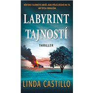 Labyrinth of secrets - Linda Castillo