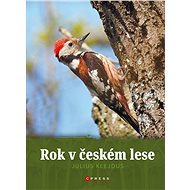 Rok v českém lese - Collective