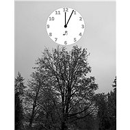 Probuzení - Ludvík Filip