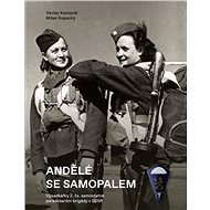 Andělé se samopalem - Milan Kopecký
