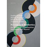 Process and Aesthetics - Miloš Ševčík  Martin Kaplický  Ondřej Dadejík