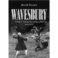 Wavesbury: Smrt mezi kapkami deště - David Návara