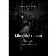 Libeňský román - Richard Erml