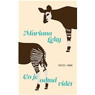 Co je odtud vidět - Mariana Leky