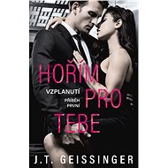 Hořím pro tebe - T.J. Geissinger
