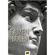 Kámen a bolest - Karel Schulz