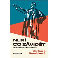 Není co závidět - Vladimír Pucek