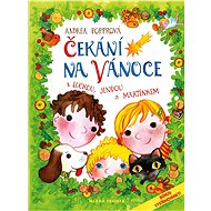 Čekání na Vánoce - Andrea Popprová