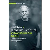 V pavučinách času - Jaroslav Čechura