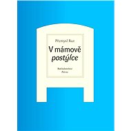 V mámově postýlce - Přemysl Rut