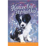 Kouzelné štěňátko – Zablácené tlapky - Sue Bentleyová