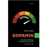 Dopamin - Anna Lembke