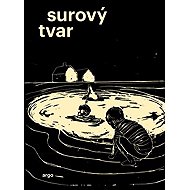 Surový tvar - Lukáš Palán