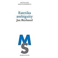 Estetika ambiguity - Jan Bierhanzl