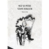 Než se pěšec stane králem - Vojtěch Žák