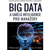 BIG DATA a umělá inteligence pro manažery - Ing. Barbora Štětinová MBA