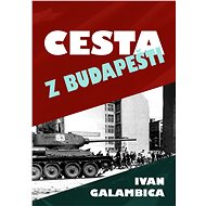Cesta z Budapešti - Ivan Galambica