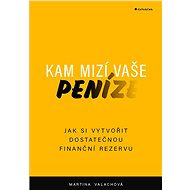 Where does your money go? - Martina Valachová