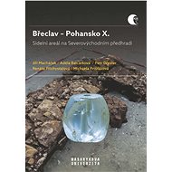 Břeclav – Pohansko X.  Sídelní areál na Severovýchodním předhradí - Jiří Macháček