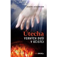 Útecha verných duší v očistci - Joseph Ackermann
