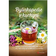 Bylinkopedie v kuchyni - Martin Chvapil
