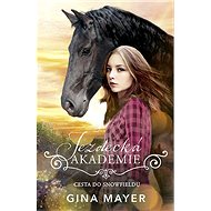 Cesta do Snowfieldu - Gina Mayer