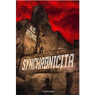 Synchronicita - Aleš Pitzmos