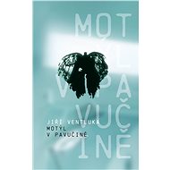 Motýl v pavučině - Jiří Ventluka