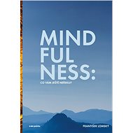 Mindfulness: Co vám ještě neřekli - František Lomský