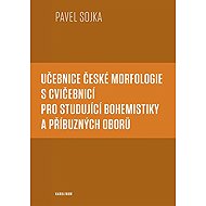 Textbook of Czech morphology with exercise book for students of Bohemian studies and related discipl - Pavel Sojka
