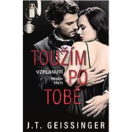 Toužím po tobě - J. T. Geissinger
