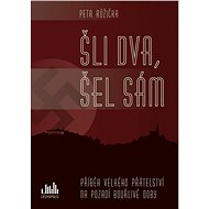 Two went, one went alone - Petr Růžička