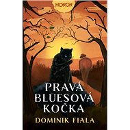 Pravá bluesová kočka - Dominik Fiala