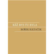 Kéž bys tu byla - Bořek Slezáček