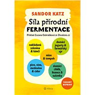 The power of natural fermentation - Sandor Ellix Katz