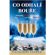 Co odhalí bouře - Catherine Cooper
