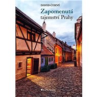 Forgotten Secrets of Prague - David Černý