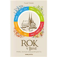 Rok v Brně - Tomáš Trbušek