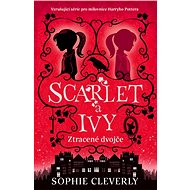 Ztracené dvojče - Sophie Cleverly