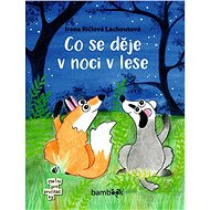What happens at night in the forest - Lachoutová Irena Ričlová