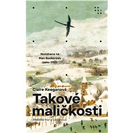 Takové maličkosti - Claire Keegan