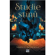 Studie stínů - Maria V. Snyderová