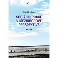 Sociální práce v mezioborové perspektivě - 