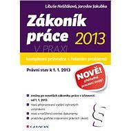 Labour Code 2013 in practice - comprehensive guide - Jaroslav Jakubka