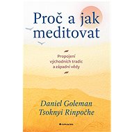 Why and how to meditate - Daniel Goleman