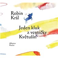 Jeden kluk z vesničky Květušín - Robin Král