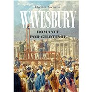 Wavesbury - David Návara