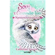 Owls of the Enchanted Forest - Birthday party - Catherine Coeová