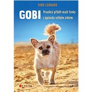 Gobi - Dion Leonard