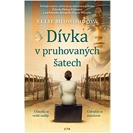 Dívka v pruhovaných šatech - Ellie Midwood